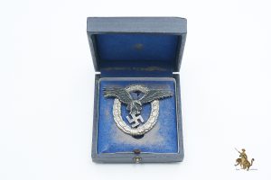 Cased BSW Pilot Badge
