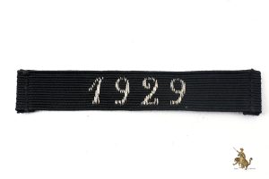 1929 NSDAP Entry Date Stripe 