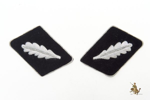 SS Standartenführer Collar Tabs