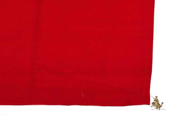 NSDAP State Service Flag -  96" X  56" - Image 7