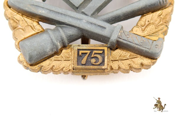 75 Engagement General Assault Badge - JFS - Image 3