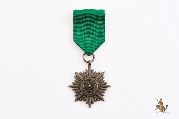 Ostvolk Medal Second Class in Bronze with Swords