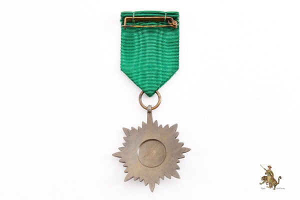 Ostvolk Medal Second Class in Bronze with Swords - Image 4