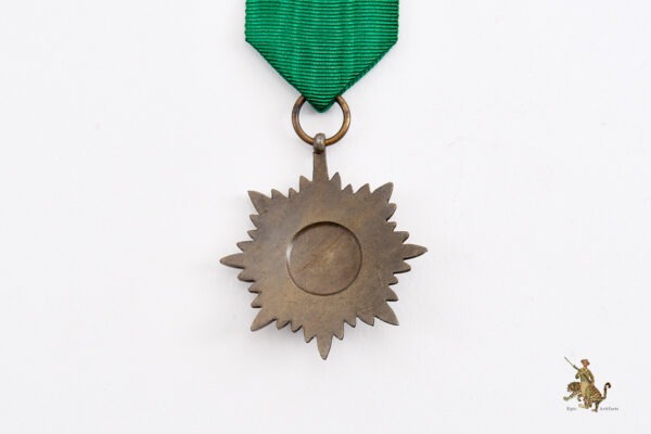 Ostvolk Medal Second Class in Bronze with Swords - Image 5