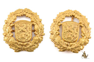 Gau Thuringen Civil Worker Badge