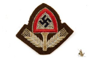RAD Reich Labor Service EM/NCO Cloth Cap Insignia